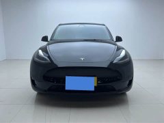 Tesla Model Y Rear-Wheel Drive - ფოტო 2
