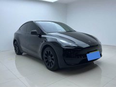 Tesla Model Y Rear-Wheel Drive - ფოტო 3