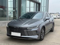 BYD Destroyer 05 2024 Glory Edition DM-i 55KM Luxury - ფოტო 1