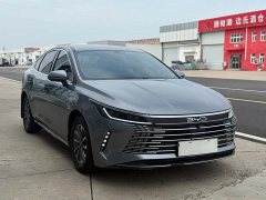 BYD Destroyer 05 2024 Glory Edition DM-i 55KM Luxury - ფოტო 3