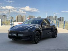 Tesla Model Y Rear-Wheel Drive - ფოტო 1
