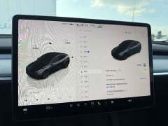 Tesla Model Y Rear-Wheel Drive - ფოტო 12
