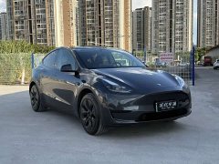 Tesla Model Y Rear-Wheel Drive - ფოტო 2