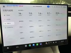 Xiaomi YU7 Four-Wheel Drive Pro - ფოტო 7