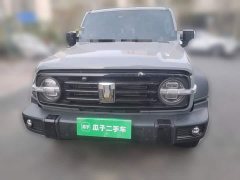 Tank 300 2.0T Conqueror - ფოტო 2