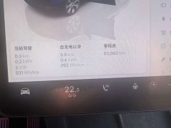 Tesla Model Y 2022 Facelift Rear-Wheel Drive - ფოტო 10