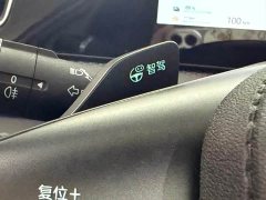BYD Song Pro New Energy DM-i 115KM Excellence Edition with Smart Driving - ფოტო 10