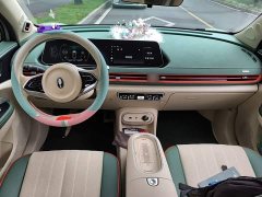ORA Good Cat 401km Standard Range Deluxe Ternary Lithium - ფოტო 11