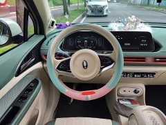 ORA Good Cat 401km Standard Range Deluxe Ternary Lithium - ფოტო 12