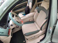 ORA Good Cat 401km Standard Range Deluxe Ternary Lithium - ფოტო 17