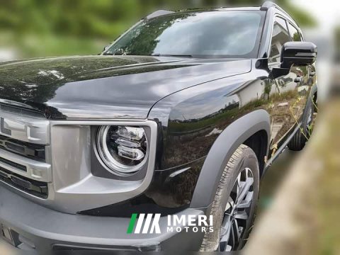 2024 Great Wall Dachshund 1.5T DCT Border Collie Edition - ავტომობილი ჩინეთიდან
