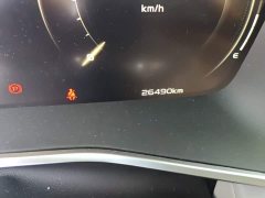 Geely Xingrui 2.0T Diesel Flagship - ფოტო 13