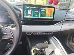 Geely Xingrui 2.0T Diesel Flagship - ფოტო 14