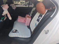 Volkswagen Santana 2019 1.5L Automatic Fashion Edition National VI - ფოტო 18