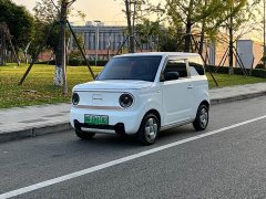 Geely Panda Mini 200km Endurance Edition - ფოტო 1