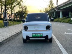 Geely Panda Mini 200km Endurance Edition - ფოტო 2