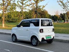 Geely Panda Mini 200km Endurance Edition - ფოტო 20