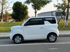 Geely Panda Mini 200km Endurance Edition - ფოტო 4