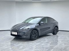Tesla Model Y 2024 Long Range All-Wheel Drive - ფოტო 1