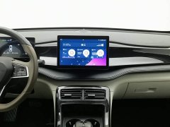 BYD Qin PLUS 2024 Glory Edition DM-i 55KM Leading - ფოტო 12