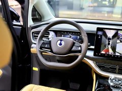 Denza BYD Denza D9 DM-i 970 Luxury - ფოტო 10