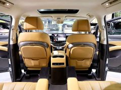 Denza BYD Denza D9 DM-i 970 Luxury - ფოტო 18