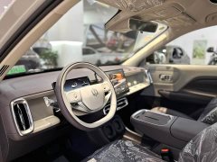 Leapmotor B10 510 Pleasure Edition - ფოტო 4