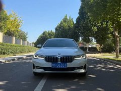 BMW 5 Series 530Li Premier Luxury Package - ფოტო 2