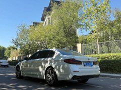 BMW 5 Series 530Li Premier Luxury Package - ფოტო 7