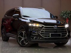 BYD Tang New Energy 2021 DM-i 112KM Premium Edition - ფოტო 1