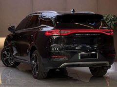 BYD Tang New Energy 2021 DM-i 112KM Premium Edition - ფოტო 11