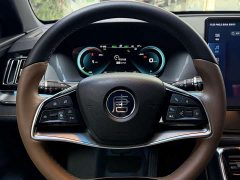 BYD Tang New Energy 2021 DM-i 112KM Premium Edition - ფოტო 15