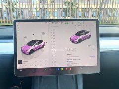 Tesla Model Y 2022 Facelift Long Range All-Wheel Drive - ფოტო 11
