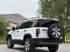 Beijing Jeep BJ40 Extended Range Long Endurance 201 Max - ფოტო 4