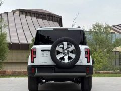 Beijing Jeep BJ40 Extended Range Long Endurance 201 Max - ფოტო 5