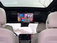 Li Auto L9 Pro - ფოტო 7