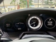 Porsche 911 Turbo S 3.7T - ფოტო 13