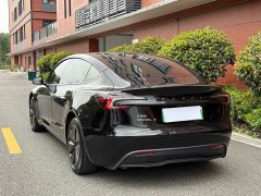 Tesla Model 3 Rear-Wheel Drive - ფოტო 14