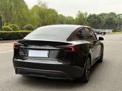 Tesla Model 3 Rear-Wheel Drive - ფოტო 16