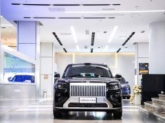 Zeekr 8X Ultra 55kWh - ფოტო 3