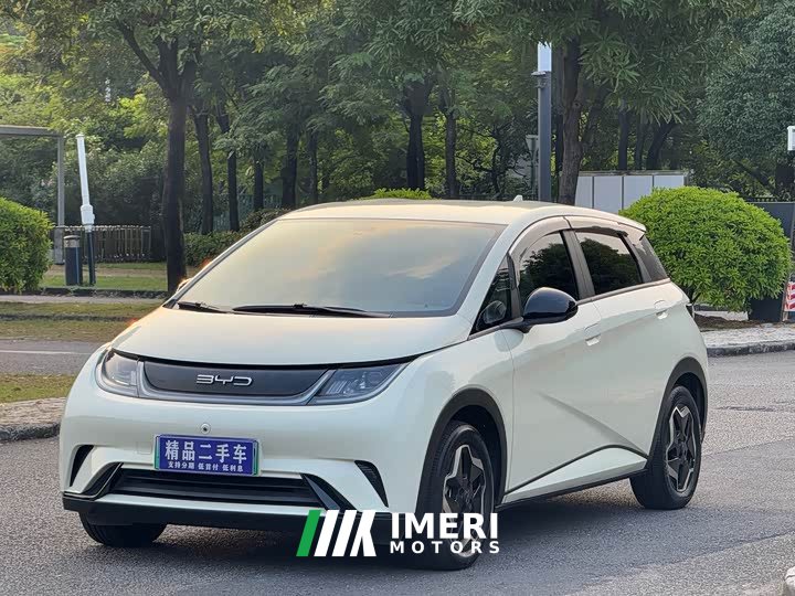 BYD Dolphin 405km Freedom Edition - ავტომობილი ჩინეთიდან