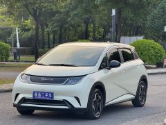 BYD Dolphin 405km Freedom Edition - ფოტო 1