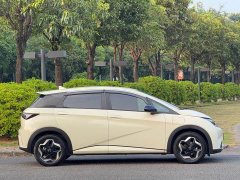 BYD Dolphin 405km Freedom Edition - ფოტო 15