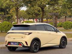 BYD Dolphin 405km Freedom Edition - ფოტო 16