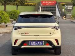 BYD Dolphin 405km Freedom Edition - ფოტო 17