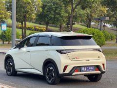 BYD Dolphin 405km Freedom Edition - ფოტო 18