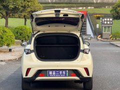 BYD Dolphin 405km Freedom Edition - ფოტო 20
