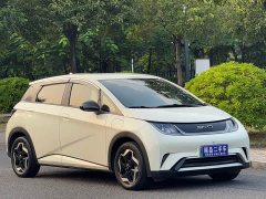 BYD Dolphin 405km Freedom Edition - ფოტო 3