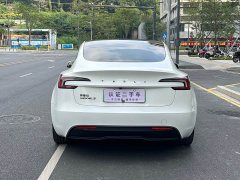 Tesla Model 3 Rear-Wheel Drive - ფოტო 8