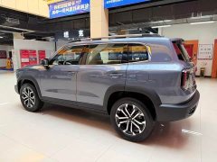 Great Wall Dachshund 2026 1.5T DCT Border Collie Edition - ფოტო 4